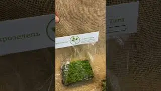 Микрозелень Green Tara ☘️