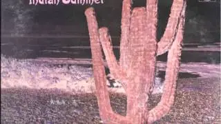indian summer - another tree will grow