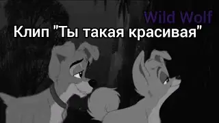 Леди и Бродяга 2: Клип 