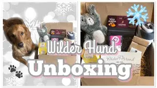 WINTERBOX Wilder Hund ☺️❄️