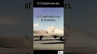 B-17 Bomber's crew size #B17Bomber, #WorldWarII