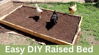 How to Build a Raised Bed in 30 Minutes, Easy and Cheap DIY