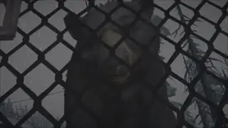 The long Dark 8
