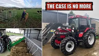 The CASE is TRADED!! Heifers Come In And Which Silage Is Better? Really DRY Or DAMP