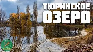 Тюринка-район Харькова. Тюринское озеро, Парк Памяти, Метромост