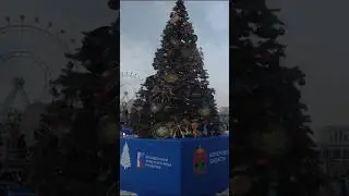 Москва/ВДНХ/Найди елку своего региона/Новый 2024 год/елки России часть 3