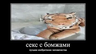 КАЭС ГО - ИГРАЮ ЗАДНИЦЕЙ (СЛАБОНЕРВНЫМ НЕ СМОТРЕТЬ)
