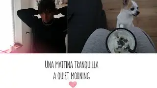 Una mattina tranquilla                                                          #morningquiet