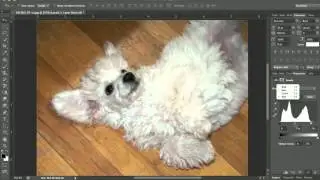 How To Brighten Up Your Photos On Photoshop