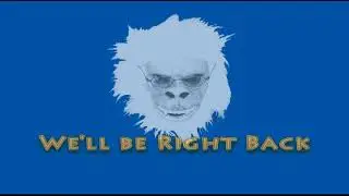 The Monkey of Education Show