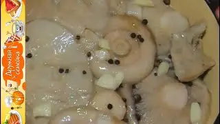 Cold salted milk mushrooms