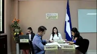 AUDIENCIA PARA DILUCIDAR DEFENSAS PREVIAS