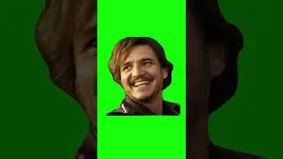 Nicolas Cage and Pedro Pascal Car Meme | Green Screen