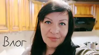 Why shame 😞 WELL, there is no other way out VLOG