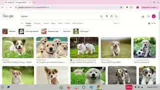 CS50 Web Programming Project 0 - Google Search (Demo & Walkthrough)