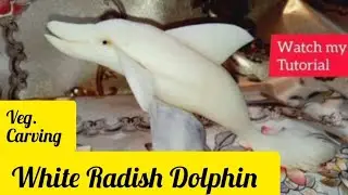 Dolphin | white radish Dolphin | vegetable carving