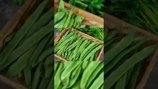 Կանաչ լոբին թունավո՞ր է