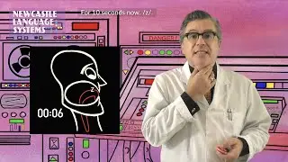 Introduction to the /s/ - /z/ sounds Color-Coded Pronunciation Newcastle Language Systems