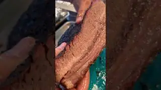 Брискет в смокере 🔥