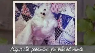 Auguri Tina