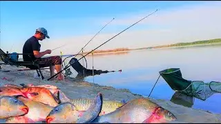 ДИКІ САЗАНИ, ЛЯЩІ, КАРАСІ НА ДИКАРІ. Рибалка з ночьовкою на донки