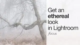 How to get an ethereal look for your photos using Lightroom