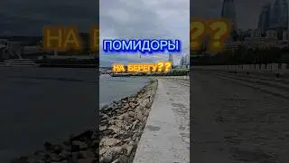 Помидоры на берегу??!