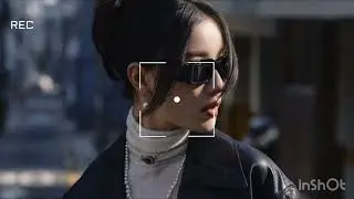SOMO - BAD CHICK (432Hz)