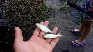 Катастрофа на реке Валуй.
