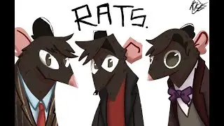 We’re the Rats - DWR edition