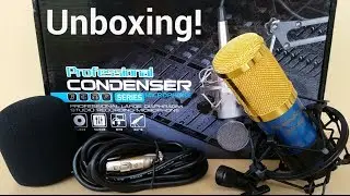 Shengyue BM-800 Condenser Microphone - Unboxing!