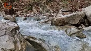 Nana thrret djali s'përgjigjet...