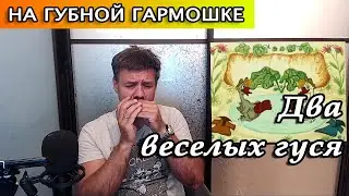 Жили у бабуси два веселых гуся и музыкальная теория для губной гармошки