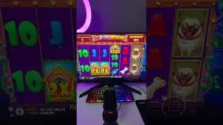 КУПИЛ БОНУСКУ ПОДПИСЧИКУ В THE DOG HOUSE MEGAWAYS#shorts #doghause #casino