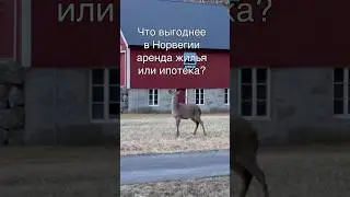 Что в Норвегии выгоднее аренда жилья или ипотека? 
