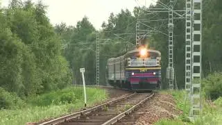 Chipi chipi chapa chapa train ER2 \ Чипи-чипи чапа-чапа ЭР2