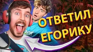 ПОЧЕМУ MrBeast Не Ответил ЕГОРИКУ? / ВЫЖИВАНИЕ В ДЖУНГЛЯХ