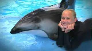Tips For A Career With Animals