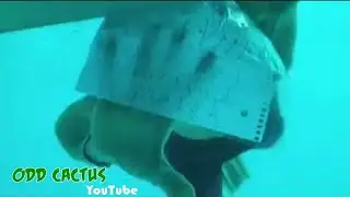 浪漫海底求婚竟然成為男友的最後一面....求女友心理陰影層面