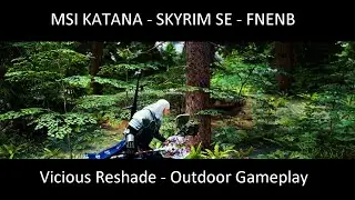 MSI Katana - SKYRIM SE - FNENB - Vicious Reshade - Outdoor Gameplay