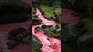 Перу, красная река Palquella Pacamayu #Природа #shorts #shortsvideo #youtuber