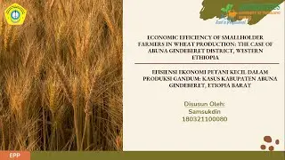 REVIEW ARTIKEL EFISIENSI EKONOMI PETANI GANDUM STUDI KASUS: KABUPATEN ABUNA GINDEBERET ETIOPIA BARAT