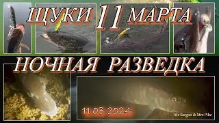Щуки 11 Марта Ночная разведка
