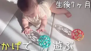 【7months】Baby playing with shadow