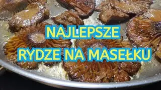 Najlepsze smażone rydze - jak smażyć rydze na maśle - rydze na maśle