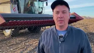 Ростсельмаш 161 с безрядковой жаткой Sun Stream 920 (подсолнечник)