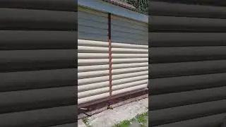 Нашествие бабочек в Рязани