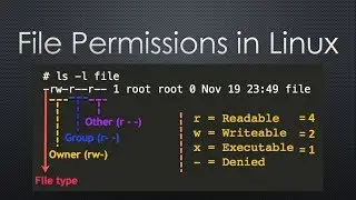 File Permissions in Linux