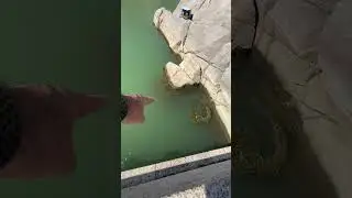 Çeşnigir Köprüsü Kırıkkale