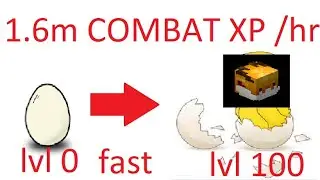 How to level up GOLDEN DRAGON FAST | one of THE BEST Combat XP method